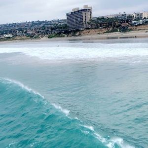 Meet your Posher, Drew